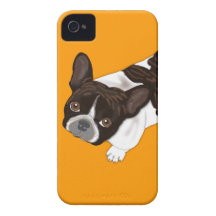 Dogo francés Bailey iPhone 4 Coberturas