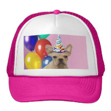 Dogo francés de Birthay Gorro