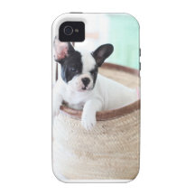dogo francés del ambiente del compañero del caso d Case-Mate iPhone 4 funda