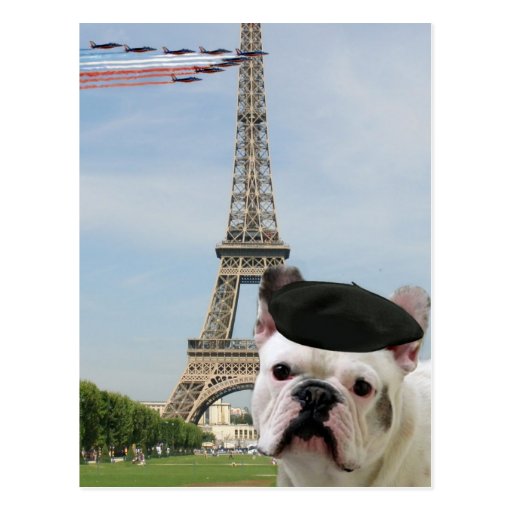 Dogo francés en la postal de París