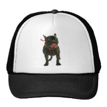Dogo francés gorras de camionero