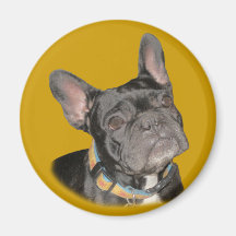 Dogo francés iman de nevera