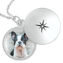 Dogo francés joyerias personalizadas