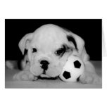 "Dogo inglés del perrito del fútbol" Tarjetas