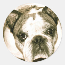 Dogo Pegatina
