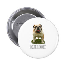 Dogo Pin