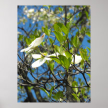 Dogwood 2 impresiones