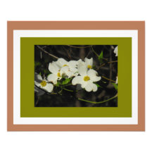 Dogwood #5 espectacular arte con fotos