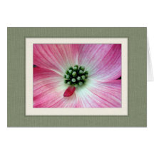 Dogwood de Virginia Tarjeta