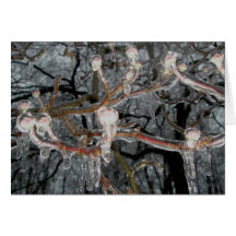 Dogwood en tarjeta de nota del hielo