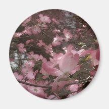 Dogwood Imán Para Frigorifico