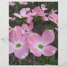 Dogwood rosado tarjeton