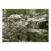 Dogwoods de la tarjeta de nota