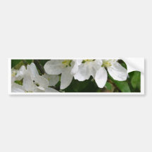 Dogwoods Pegatina De Parachoque