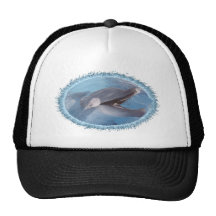 dolphin-4 gorro