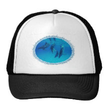 dolphin-6 gorros  