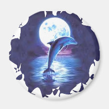 dolphin-8 imanes  