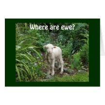 ¡DONDE ESTÁN EWE-MISS USTED! TARJETAS