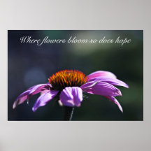 Donde florecen las flores así que espera poster