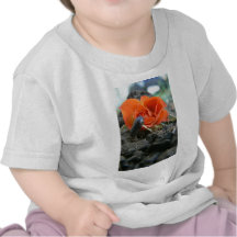 Donde hay usted hay hermoso camisetas