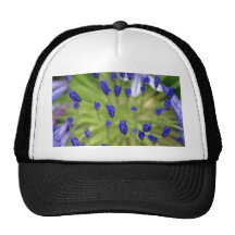 ¡Donde saliendo!!! Gorro De Camionero
