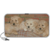 Doodle de los perritos del golden retriever notebook altavoces