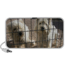 Doodle de Terrier blanco de montaña del oeste iPod Altavoz