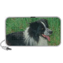 Doodle del border collie altavoces