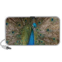 Doodle del pavo real iPod altavoces