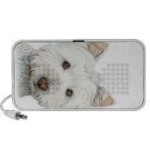 Doodle lindo del perro de Westie iPhone Altavoces