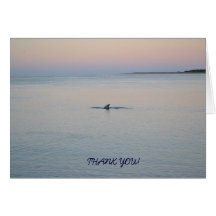 Dophin se desliza a través del océano en la puesta tarjetón