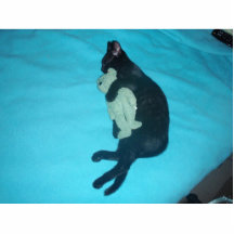 Dormido con mi bebé esculturas fotográficas