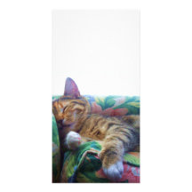 Dormido en las tarjetas de la foto de Sun Tarjetas Personales Con Fotos