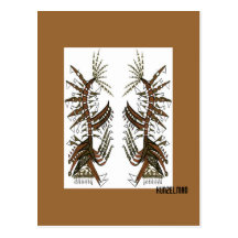 "DOS amigos del arte abstracto de los AMIGOS PRIMI Tarjetas Postales
