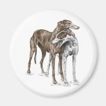 Dos amigos del perro del galgo imanes  