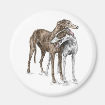 Dos amigos del perro del galgo imanes  
