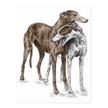 Dos amigos del perro del galgo tarjetas postales