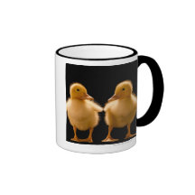 Dos anadones que miran uno otro taza de café