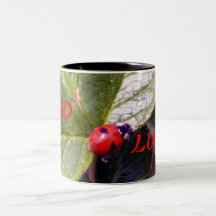 Dos años de la taza de la mariquita