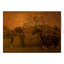 Dos caballeros de Aran II Tarjeton