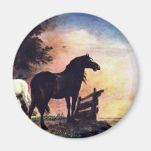 Dos caballos cerca de una puerta en el prado [1]. imán para frigorifico