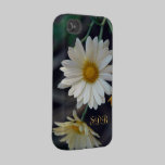 Dos caso del iPhone 4 de la casamata de las margar cárcasas casemate