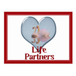 Dos cisnes que nadan w/text "vida Partners " Tarjeta Postal