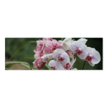 dos clases de señal de las orquídeas tarjetas de visita