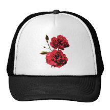Dos claveles rojos con los brotes gorro