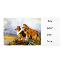 Dos collies sobre un lago por Wright Barker Tarjetas Personales