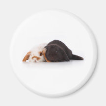 Dos conejitos lindos del bebé iman para frigorífico