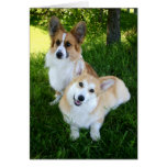 Dos Corgis Galés Felicitacion