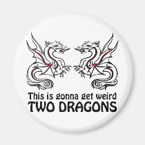 Dos dragones imanes