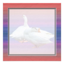 dos gansos blancos en fondo de lujo invitaciones personales 